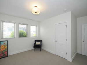 Basement bedroom 3