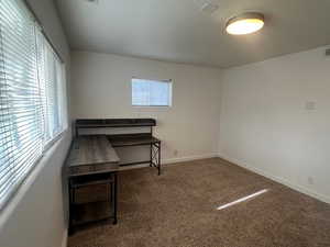 Miscellaneous room with dark colored carpet and plenty of natural light