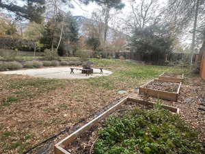 View of yard with a patio