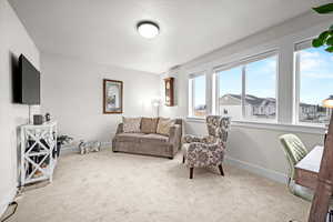 Living room featuring carpet floors and a textured ceiling