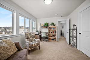 Living area with light carpet