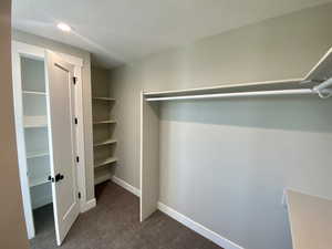 Spacious closet with dark colored carpet