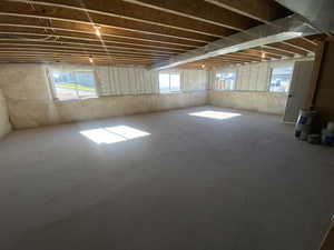 Basement with a wealth of natural light