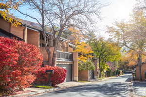 Private street with views