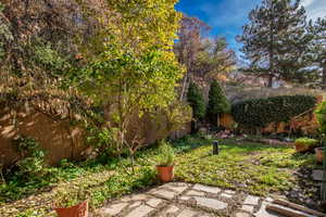 Backyard with a patio area