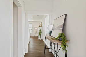 Hall featuring dark wood-type flooring