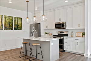 Kitchen with hanging light fixtures, white cabinetry, stainless steel appliances, and a kitchen island with sink