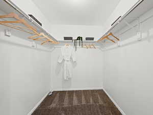 Walk in closet with carpet flooring