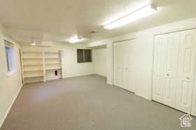 Basement with carpet