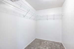 Spacious closet featuring carpet