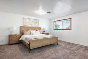 Bedroom featuring carpet and a textured ceiling