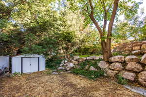 View of yard featuring a storage unit