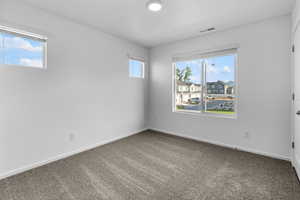 Unfurnished room featuring a wealth of natural light and carpet floors