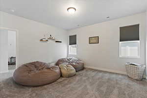 Living area with light carpet and a wealth of natural light