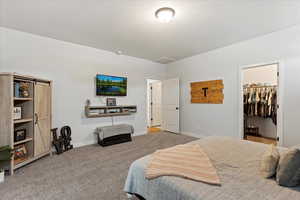 Bedroom with carpet flooring, a walk in closet, a closet, and a textured ceiling