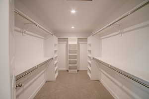 Spacious closet featuring light carpet