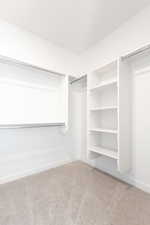 Spacious closet featuring carpet