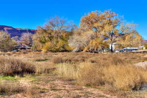 View of local wilderness featuring a mountain view