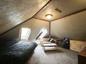 Carpeted bedroom with a textured ceiling and vaulted ceiling