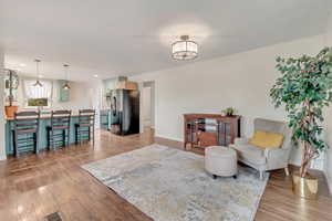 Living room with light hardwood / wood-style floors