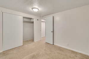 bedroom featuring light carpet, several windows and large closet