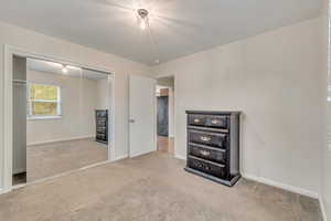 main floor bedroom featuring light colored carpet and a large closet