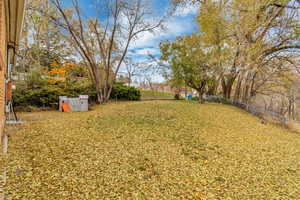 View of back yard