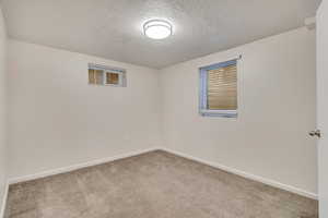 downstairs carpeted bedroom