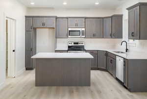 Kitchen featuring light wood-type flooring, stainless steel appliances, sink, a center island, and gray cabinets