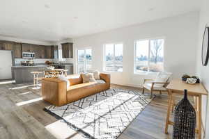 Living room featuring light hardwood / wood-style floors