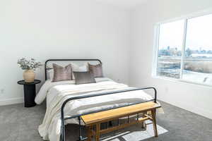 Bedroom featuring carpet and multiple windows