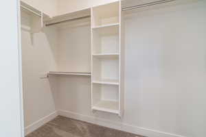 Spacious closet featuring carpet floors