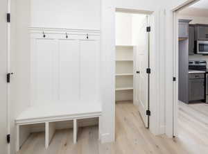 Mudroom with light hardwood / wood-style floors