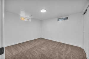 Basement with carpet floors