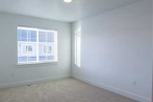 Unfurnished room featuring light carpet and a healthy amount of sunlight