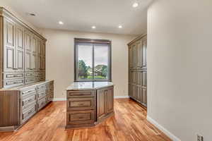 Spacious closet featuring light wood-type flooring