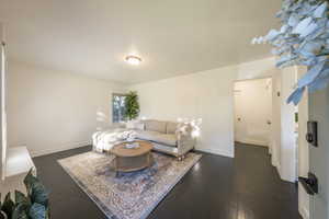 Living room featuring dark wood-type flooring