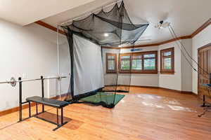 Exercise area featuring ornamental molding and wood-type flooring