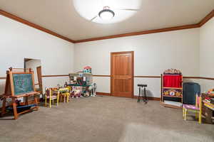 Recreation room with crown molding and carpet