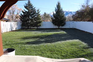 Back Yard 1