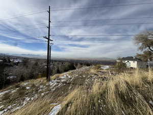 View of local wilderness