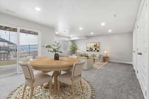 Basement Family Room w/ walk-out to patio