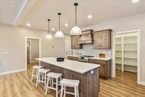 Kitchen featuring stainless steel range, hanging light fixtures, premium range hood, backsplash, and light hardwood / wood-style floors