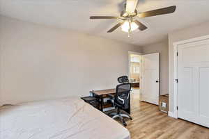 Bedroom featuring light wood-type flooring and ceiling fan