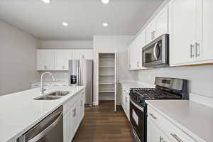 Kitchen featuring white cabinets, dark hardwood / wood-style floors, sink, and stainless steel appliances