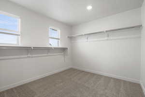 Spacious closet featuring carpet floors