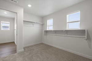 Spacious closet featuring carpet flooring