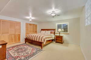 Bedroom featuring multiple closets, carpet floors, and a textured ceiling