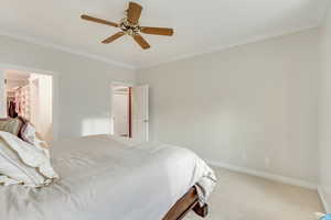 Bedroom with ceiling fan, crown molding, carpet floors, a walk in closet, and a closet