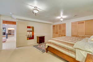 Carpeted bedroom featuring a textured ceiling and two closets